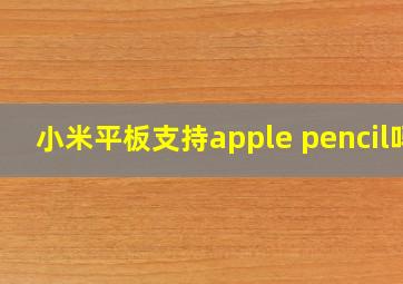 小米平板支持apple pencil吗